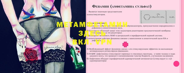 крисы Коряжма