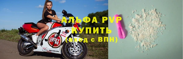 дживик Краснослободск