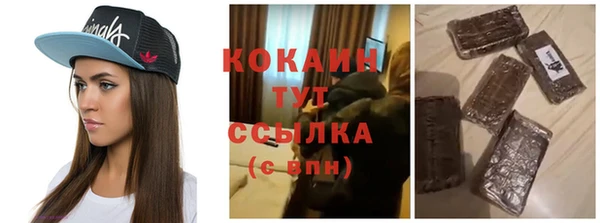 крисы Коряжма