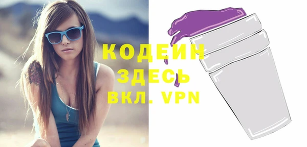 крисы Коряжма