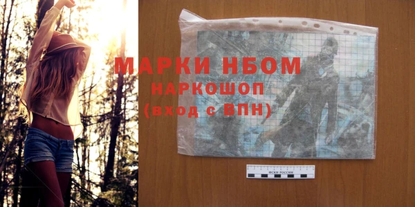 дживик Краснослободск