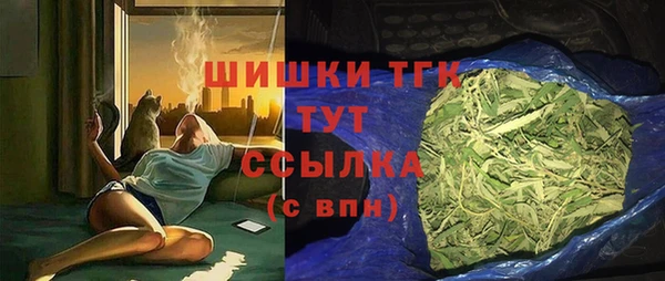 крисы Коряжма