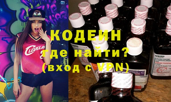 крисы Коряжма