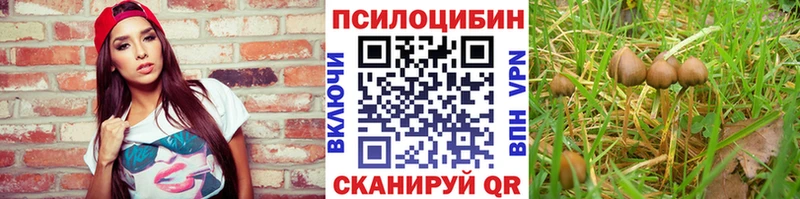 Купить закладки  Гатчина  Псилоцибиновые грибы GOLDEN TEACHER 