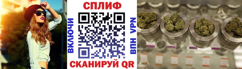 Шишки марихуана планчик Купить закладки Гатчина